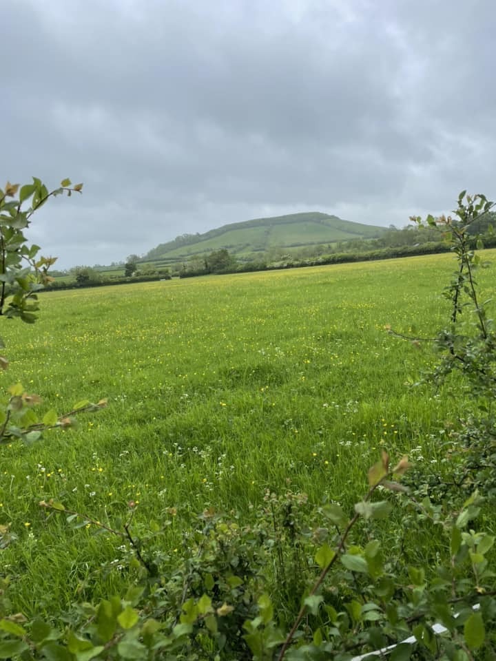 View in the Mendips