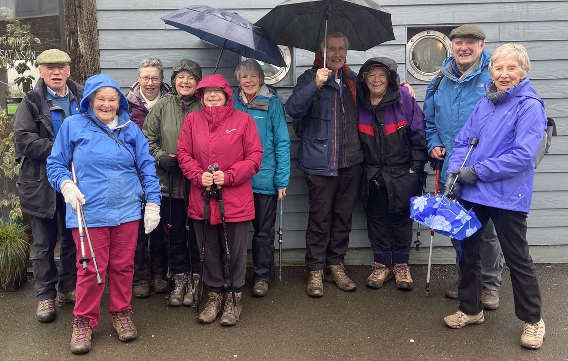 Mini Walk February 2026