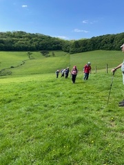 Staddiscombe and Cofflete Walk