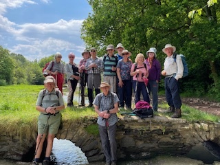 Staddiscombe and Cofflete Walk