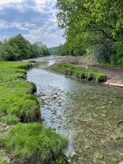 Staddiscombe and Cofflete Walk