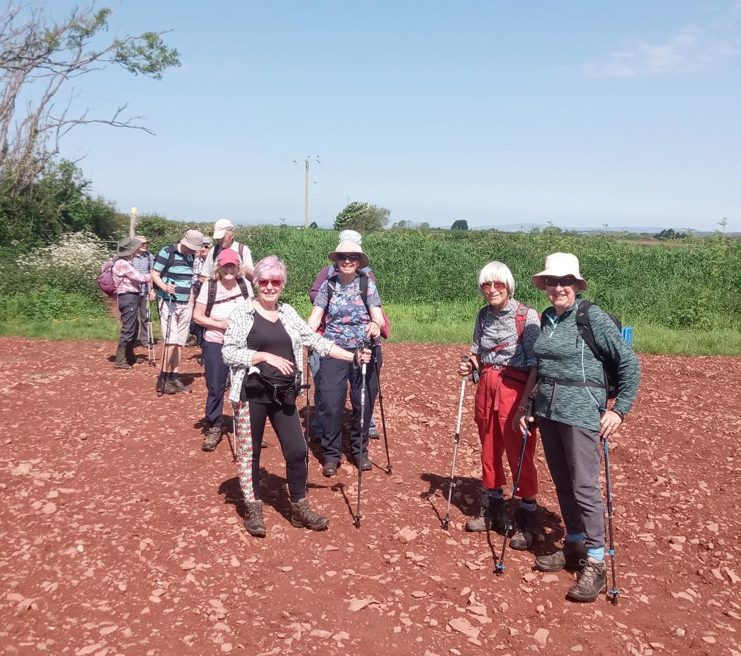 Staddiscombe and Cofflete Walk