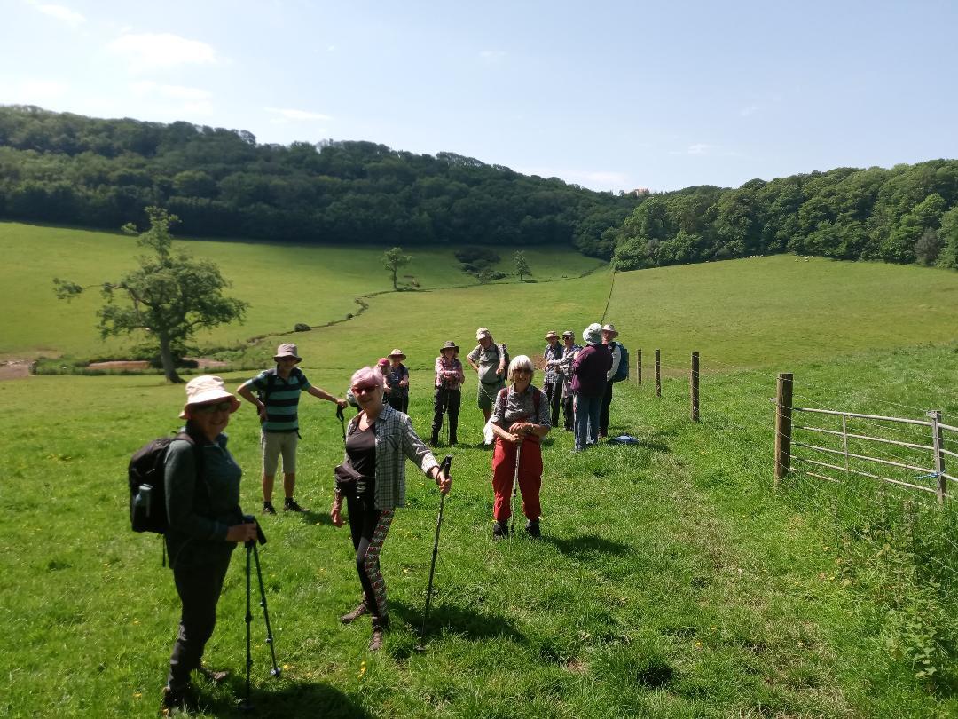 Staddiscombe and Cofflete Walk