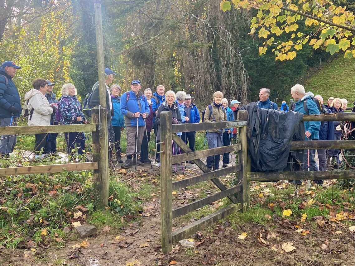Yealmbridge Group Photo 3